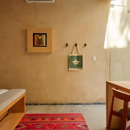 Casa Carmen Reforma-2